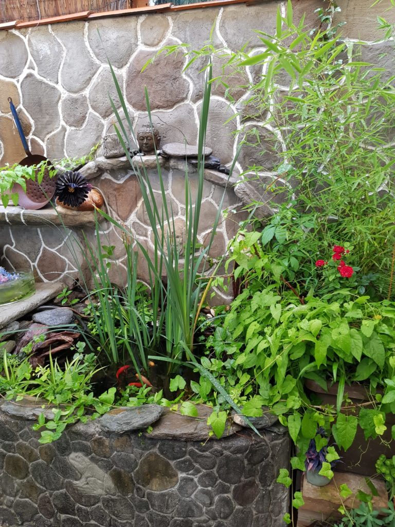 Estanque de jardín de piedra natural con peces de colores y plantas acuáticas frente a una pared de mampostería decorativa.