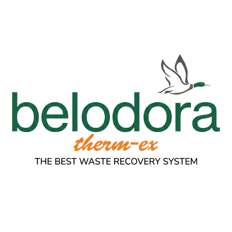Belodora